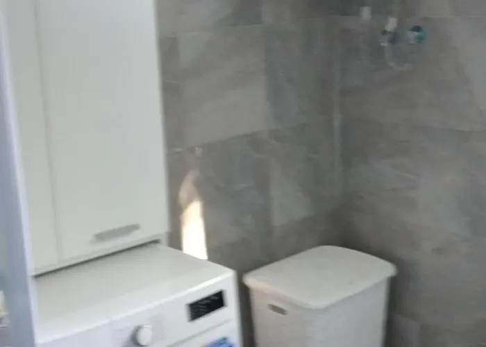 Miocic * Ражанац