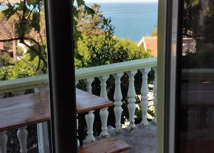 Miocic Ражанац