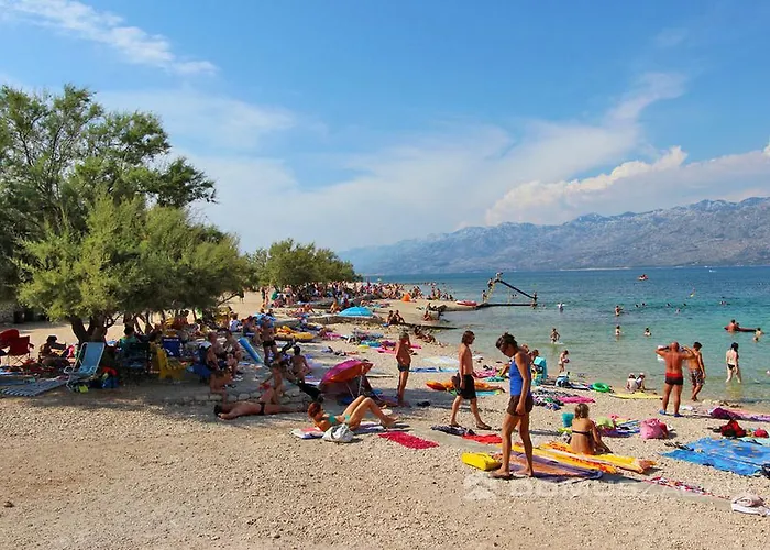 Апартаменты Miocic *